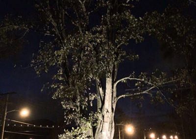 Jardín 03