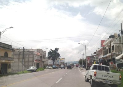 Salcaja3